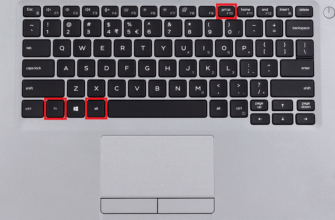 Як швидко і легко зробити скріншот на ноутбуці: покрокова інструкція