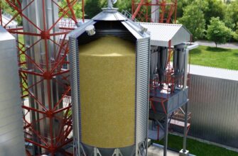 Елеватор: що таке, як працює та його роль в аграрній галузі