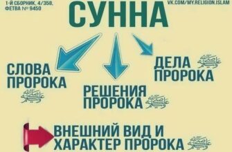 Сунна: визначення, значення та роль у мусульманській традиції