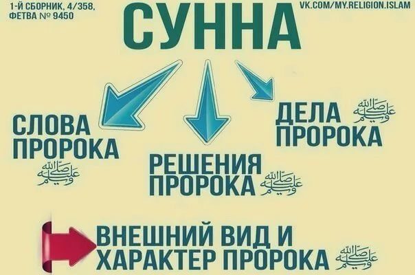 Сунна: визначення, значення та роль у мусульманській традиції