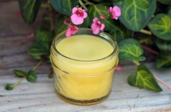 Домашня мазь: простий рецепт створення лікувального засобу власноруч