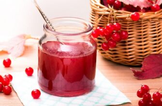 Як приготувати ліки з калини: поради та рецепти для вашого здоров’я