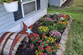 Як оформити клумбу: поради для створення ідеального садового дизайну