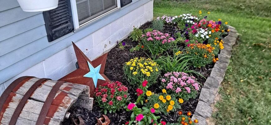 Як оформити клумбу: поради для створення ідеального садового дизайну