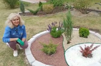 Як власноруч створити квітник біля хати: прості поради та ідеї