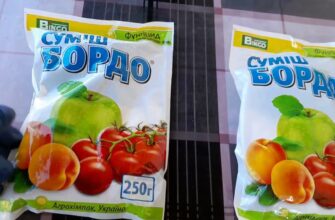 Як самостійно приготувати бордоську суміш: покрокова інструкція