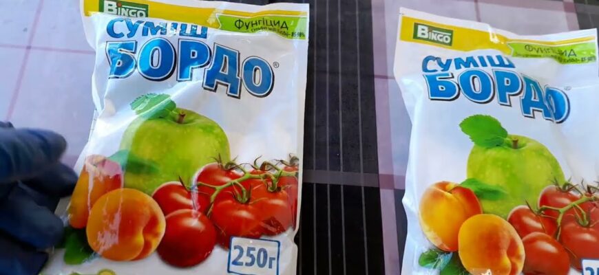 Як самостійно приготувати бордоську суміш: покрокова інструкція