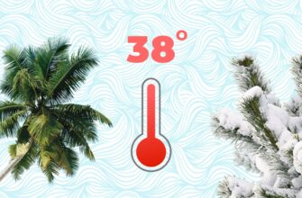 Ефективні стратегії акліматизації: як пристосуватися до нових умов