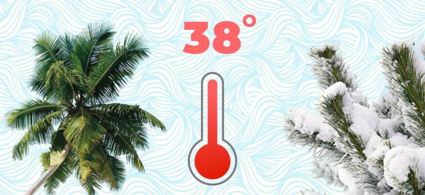 Ефективні стратегії акліматизації: як пристосуватися до нових умов