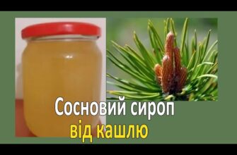 Як приготувати сироп від кашлю з соснових бруньок: покрокова інструкція