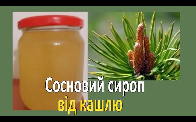 Як приготувати сироп від кашлю з соснових бруньок: покрокова інструкція