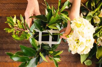 Як створити ідеальний букет з квітів у коробці: покрокова інструкція