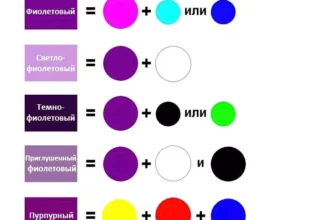 Як створити фіолетовий колір: покрокова інструкція для початківців