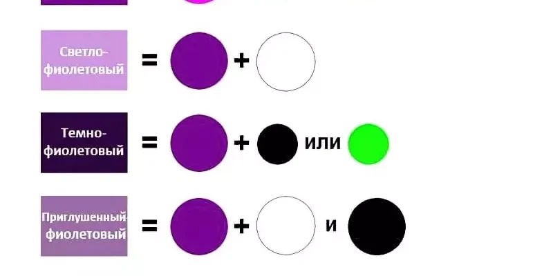 Як створити фіолетовий колір: покрокова інструкція для початківців